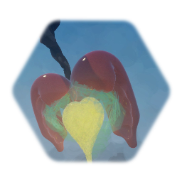 Lantern Heart  Fruit