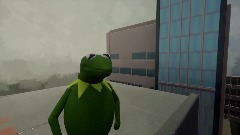 Kermit Down