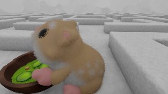 Hamster Maze