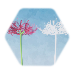 彼岸花 - Cluster amaryllis