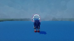 Sonic speedruns life