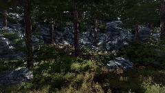 Realistic Forest