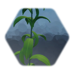 Corn (High Fidelity)