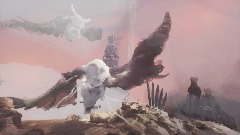 This evening random stuff