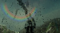 The Beach 👶🌈🦀🐬