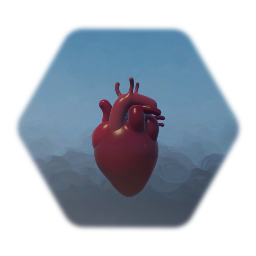 The human heart WIP