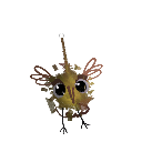 Araujogross