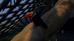 Let's Go to The Zoo!