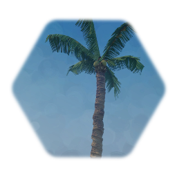 Palm tree