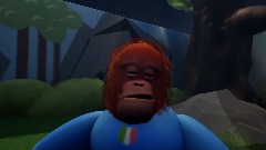 Forbidden Orangutan showcase