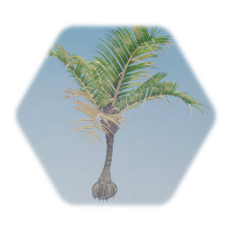Arenga Palm