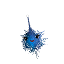 WaterBottle_YT
