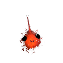 Jakubko_1