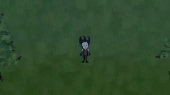 Don't starve test