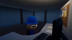 Barbu uses a Computer