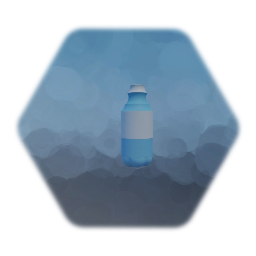 Water Bottle