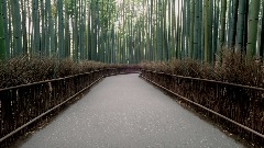 A screenshot taken in Dreams. 19 of 25.