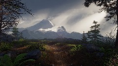 Mt Baker and Robo Rays