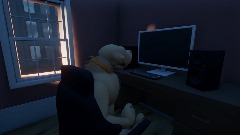 former dog reacts to modern day dog walking