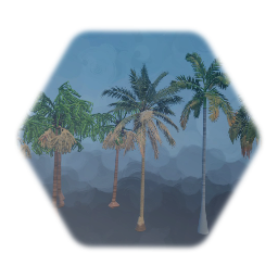 Palms