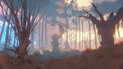 Woodland at dawn