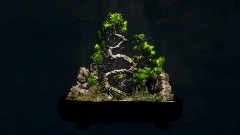 Bonsai Tree (The Grand White)