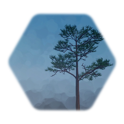 Medium High Mountain Pine