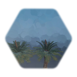 Japanese Sago Palm Tree