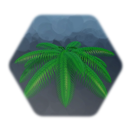 Palm Tree Leaves