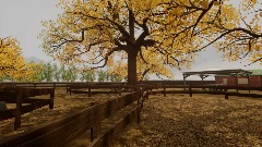 Cottonwood Rural