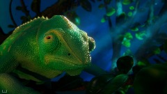 A screenshot taken in Dreams. 8 of 26.