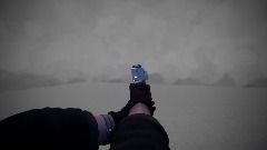 <clue>FPS realistic animation WITH SOUNDS