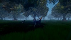 Realistic White-Tail Deer testing grounds