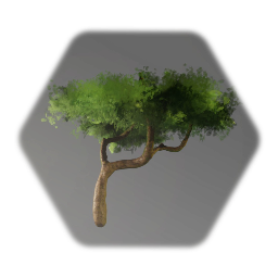 Tree 111
