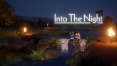 Into The Night