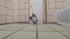 Cat bathroom