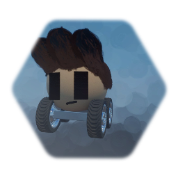 BRIANYOUNG09 convertible