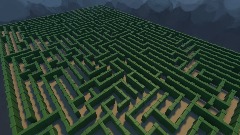 Hedge Maze