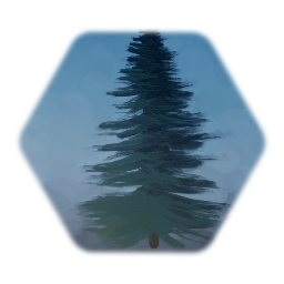 Large Spruce Tree