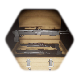 <term>Franchi SPAS-12 Versions/Skins