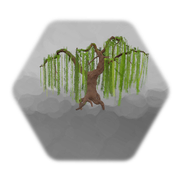 Willow Tree