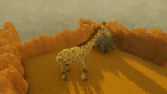 rhino +zebra +giraffe