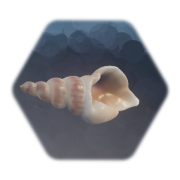 <uipossessvizbody> Dreams Guild - Conch Shell
