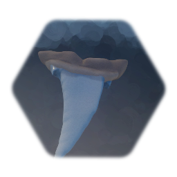 Shark tooth
