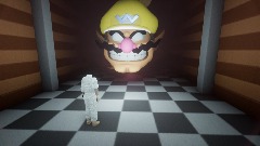 The Wario Apparation but its in first person