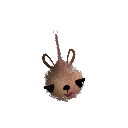 Nlno_down