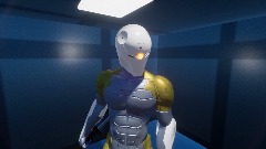 Gray Fox