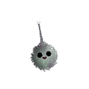 wiiintah