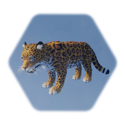 Aztec - Jaguar