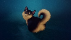 Floofy Shibe!